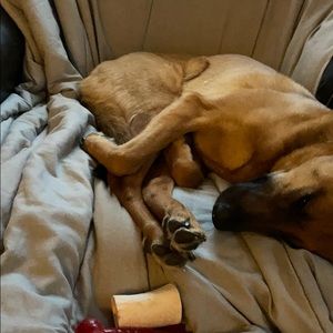 Meet your Posher, Adam